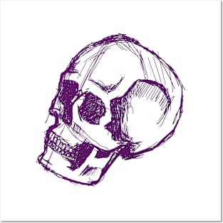 Skull Sketch Posters and Art